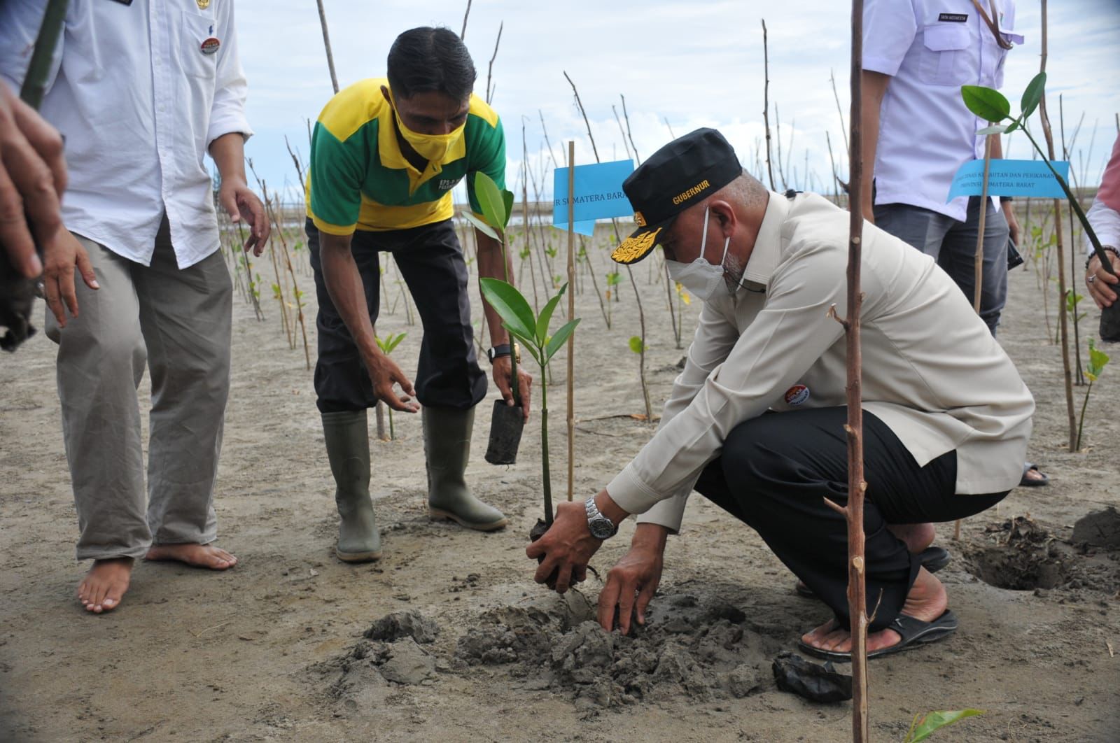 Gubernur Sumbar, berada di Pasaman  Barat untuk menanam Mangrove dan Cemara Laut, Rabu (1/9/2021).
